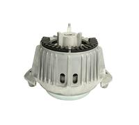 REINHOCH RH11-3034 Sospensione, Motore per MERCEDES-BENZ