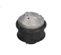 Supporto motore REINHOCH RH11-3036 per CLASSE E (W210) 3.2 1999-2002