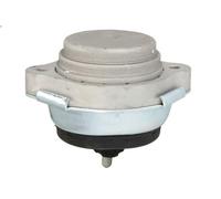 Supporto motore REINHOCH RH11-3037 per BMW X5 (E53) 3 2000-2006