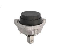 Supporto motore REINHOCH RH11-3047 per BMW 5 (F10) 3 2013-2016