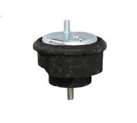 Supporto motore REINHOCH RH11-3053 per BMW 3 (E46) 2 1998-2