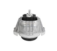 Supporto motore REINHOCH RH11-3055 sinistro