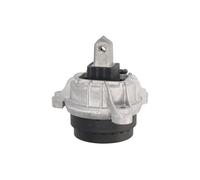 Supporto motore REINHOCH RH11-3080 sinistro