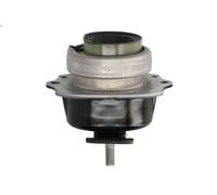Supporto motore REINHOCH RH11-3093 per BMW X5 (E70) 3 2012-2013