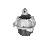 Supporto motore REINHOCH RH11-3116