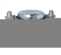 REINHOCH Supporto motore RH11-3119 per Mercedes CLS C218 2011-2014 / E-Class S212 Destro