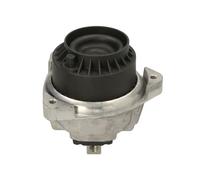 Supporto motore REINHOCH RH11-3157 per BMW 5 (F10) 3 2010-2011