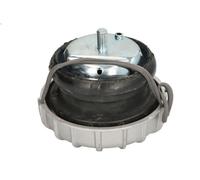 REINHOCH RH11-3162 Supporto motore