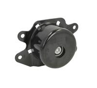 Supporto motore REINHOCH RH11-5035 sinistro