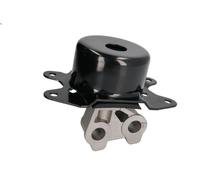 Supporto motore REINHOCH RH11-5065 OPEL CORSA C (X01) 1 2000-2003