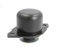 Supporto motore REINHOCH RH12-0007 per VW POLO (6N2) 1 1999-2001