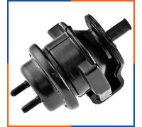 NTY Sospensione, Motore compatibile con NISSAN ZPS-NS-150