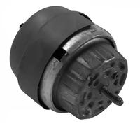 Corteco Supporto motore 80004289 supporto idraulico per Audi A6 C6 Avant