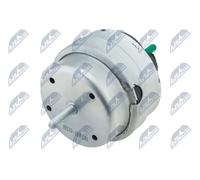 Supporto motore Sx Supporto idraulico ZPS-AU-038 NTY per AUDI SEAT