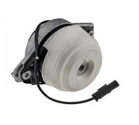 NTY Supporto Motore ZPS-ME-095 Per Mercedes-Benz Lato Destro