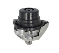 Supporto motore TEDGUM TED87717 BMW X3 (F25) 3 2011-2017