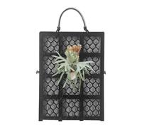 Supporto muro Fern cerf corne corno felce | Scheda verticale in legno da 30 pollici per piante sospese | Decorazione del muro del giardino domestico