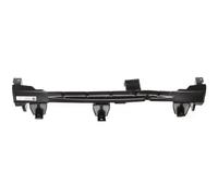 Supporto paraurti anteriore 5502-00-1677940P BLIC per NISSAN PATHFINDER III