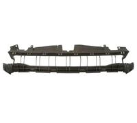 BLIC Träger Paraurti Anteriore Rinforzo Front For: FORD FOCUS IV 04.18-09.21