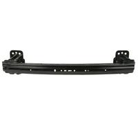 Supporto paraurti anteriore 5502-00-2576940P BLIC per FORD FUSION