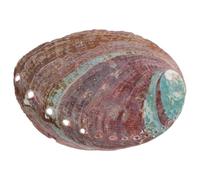 Supporto per Aromaterapia a Conchiglia di Abalone per Acquario | Decorazione da Scrivania e Paesaggio Acquatico, Contenitore Multiuso per Combustione Aromatica, Guscio