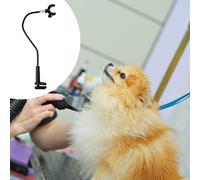 Supporto per asciugacapelli, tavolo da toelettatura per gatti, morsetto