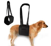 Supporto per Cani, Imbracatura di Riabilitazione per Colonna Vertebrale, Anca e Ginocchio, Taglia M