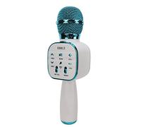 Supporto per Effetti Sonori di Riverbero per Microfono Audio Bluetooth Bluetooth U Disk 2000mAh per Feste di Canto in Metallo Blu