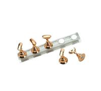 Supporto per esercitarsi con le unghie, Supporto for unghie for esercitazione Strumenti for smalto gel Oro Argento rosa(Td007-24)