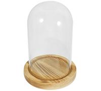 Supporto Per Fiori Vetrina Cupola Cornice Esposizione Di Secchi