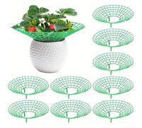 Supporto per fragole, 10 pezzi, per piante di pomodoro ed erbe aromatiche, design salvaspazio