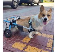 Supporto per gamba posteriore regolabile per animali domestici con artrite e lacerazione del legamento crociato anteriore, aiuto per la mobilità per problemi di deambulazione