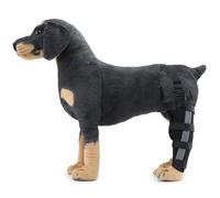 Supporto per le Gambe dei Cani, Tutore per il Legamento Crociato Anteriore del Cane per Zampe Anteriori e Posteriori Strappate, Supporto Carpale per Zampe Canine con Stabilizzatori Laterali