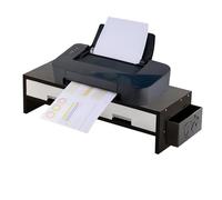 Supporto per monitor da scrivania, supporto ergonomico a doppio cassetto, supporto per monitor del computer, per casa, ufficio, studio, camera da letto, scrivania, amici interni