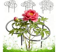 Supporto per Peonie, Tutore per Piante - Metallo Robusto, Resistente alle Intemperie, Graticcio Passante - Ideale per Fiori Grandi e Pesanti, Peonie, Rose,per Giardino, Cortile e Patio (S 30cm)