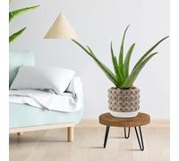 Supporto per piante in legno, vassoio per fioriera, mini supporto intermedio