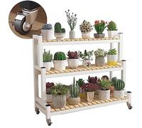 Supporto per piante in metallo con ruote a 2/3 ripiani, salvaspazio, per interni ed esterni, giardino e balcone, organizer versatile per scarpe e piante