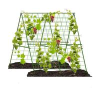 Supporto per piante rampicanti, adatto per cetrioli, soia, pomodori e altri tipi di verdure, così come il fiore di luna, traliccio in acciaio, lunghezza 120 cm
