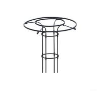 Supporto per piante rampicanti, design ad arco per una crescita organizzata e sana delle piante (120 cm)