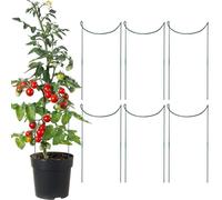 Supporto per piante semicircolare per albero da arrampicata | Set di 6 supporti per peonie, per ortensie, peonie, rose, Monstera, piante rampicanti, verdure