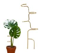 Supporto per piante - Supporto per stelo da esterno per fiori - Supporto per piante da interno - per orchidee, rose e , giardino all'aperto, giardinieri di casa, architetti paesaggisti esperti e