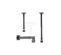 Supporto per proiettore 2in1 soffitto/parete SPA-P01B