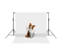 Supporto per sfondo regolabile 75-300 cm, treppiede fotografico portatile | 6 clip, 6 elastici, 2 sacchi di sabbia, borsa per il trasporto, 3,42 kg, ferro zincato, altezza/lunghezza regolabile per