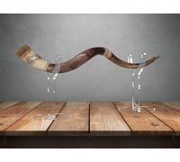 Supporto per shofar yemenita in acrilico trasparente, per shofar da Israele, adatto alla maggior parte delle taglie Oryx, Kudu, Shofar Ram Horn, Yemenite Shofar (trasparente)