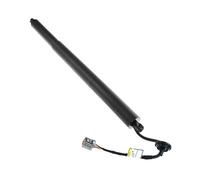 Supporto per Sollevamento Portello Elettrico GB5Z14B351A per Explorer 2016-2019 Gruppo Attuatore Portellone Posteriore Sinistro Portellone