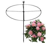Supporto per steli per piante, resistente alle intemperie, per interni ed | Palo di supporto per piante da interno in metallo per rose peonie vasi di verdure fioriera da giardino portico balcone