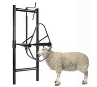 Supporto per testa di pecora, apparecchio per bestiame regolabile in altezza, supporto per tosatura di capre, accessori per la casa dell'azienda agricola