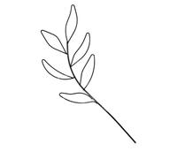 Supporto per traliccio in metallo per piante rampicanti, in ferro, colore: nero