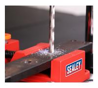 Sealey Trapano Stand Con Ghisa Base 500mm & 65mm Morsa DS01