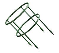 Supporto Piante Rampicanti Verde in Plastica, Guida Steli | Struttura Semplice ed Elegante, per Ortaggi e Piante, Protegge dal Vento Forte e Limita la Diffusione